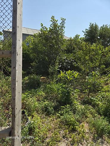qusarda yer satilir: Həyətyanı torpaq sahesi 4 sot yarimdir sokar poliklinka ilr uzbruz su — 8