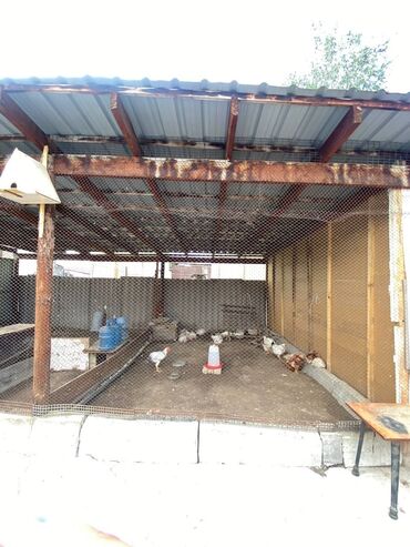 Продажа домов: Дом, 50 м², 3 комнаты, Собственник, Косметический ремонт — 19