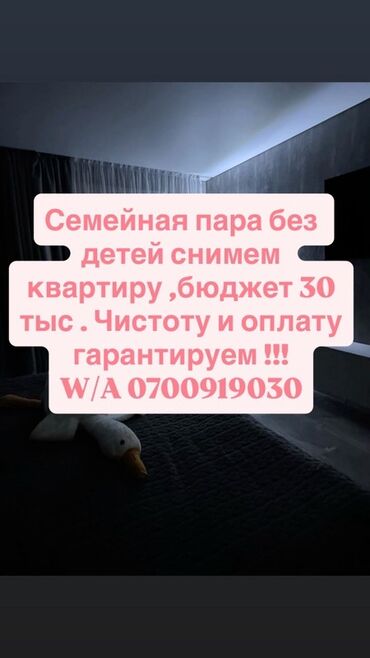 сдаю дом в канте: Студия, 20 м²