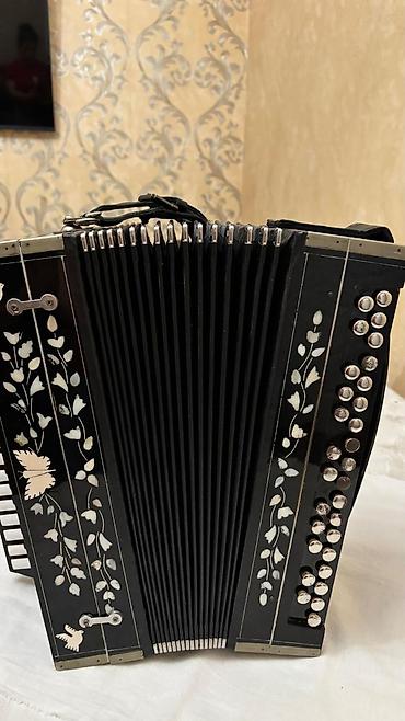 qarmon qabi: Akkordeon – dekorativ ana sədəf naxışlı, klaviatura və bas düymələri — 10