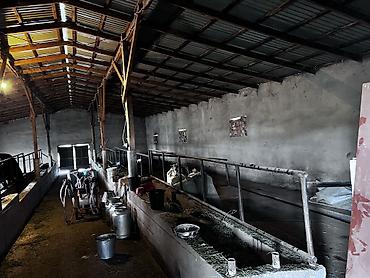 Продажа коттеджей и домов: Срочно продается дом +большой участок Адрес: Беловодский село Бала at lalafo.kg — 7 Продажа коттеджей и домов: Срочно продается дом +большой участок Адрес: Беловодский село Бала — 7