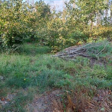 Torpaq sahələrinin satışı: 12 sot, Tikinti, Mülkiyyətçi, Kupça (Çıxarış) — 5