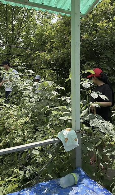 Продажа коттеджей и домов: Продается дача с мансардой и подвалом в с.Байтик Отличная локация, в — 12