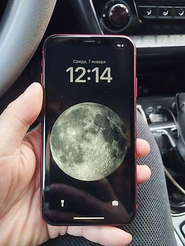 Apple iPhone: IPhone Xr, Б/у, 64 ГБ, Красный, Чехол, Кабель, 100 % — 7