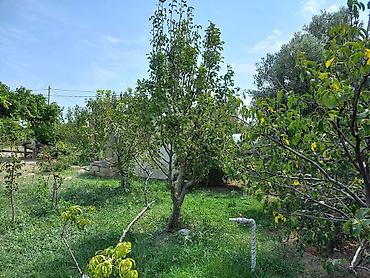 Bağ evlərinin satışı: Zeynalabdin Tağıyev, 90 kv. m, 3 otaqlı, Hovuzsuz — 13