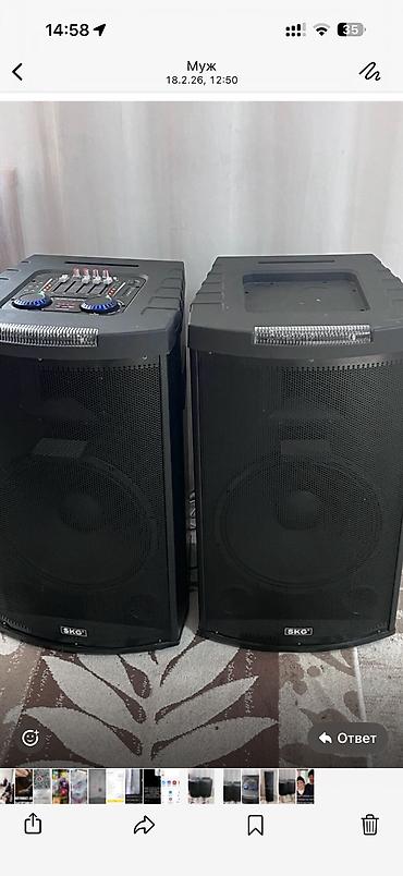 Динамики и колонки: Продаю новый в коробке со встроенным усилителем и микрофоном работает — 13