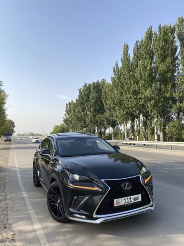 Lexus: Lexus NX: 2019 г., 2.5 л, Автомат, Бензин, Кроссовер
