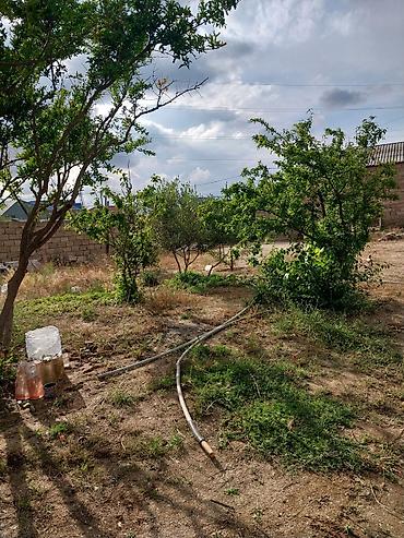 Torpaq sahələrinin satışı: Kənd təsərrüfatı — 9