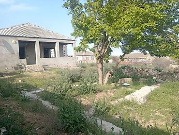 qubada torpaq satilir 2026: 18 sot, Mülkiyyətçi, Kupça (Çıxarış) — 1