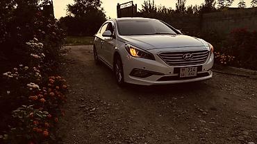 714: Hyundai Sonata: 2016 г., 2 л, Автомат, Бензин, Седан — 2