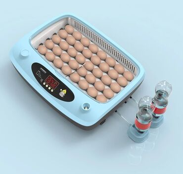 Oprema za kućne ljubimce: INKUBATOR Automatski nove generacije za 40 jaja 12v/220v — 2