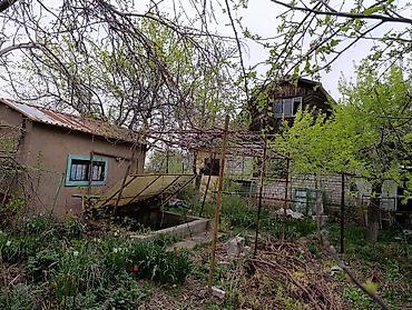 Продажа дач: Дача/два садовых участока с домом " Текстильщик" - Дом из кирпича с — 5