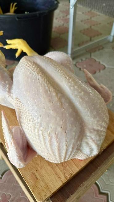 Бройлер: Продаем домашних бройлеров — выращены на натуральных кормах с особым — 1