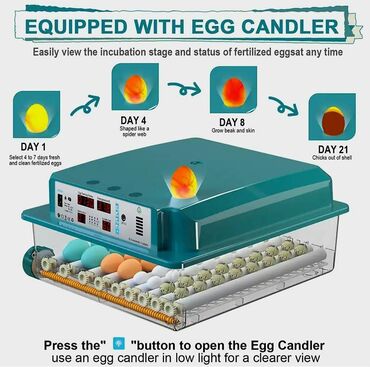 İnkubatorlar: Yeni satışda 64 yumurtalıq inkubator. Fotolar ona aiddir. Tam -da lalafo.az — 1 İnkubatorlar: Yeni satışda 64 yumurtalıq inkubator. Fotolar ona aiddir. Tam — 1
