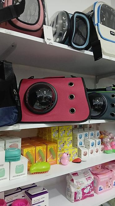 Pişiklər: Erkək, Pulsuz çatdırılma — 18