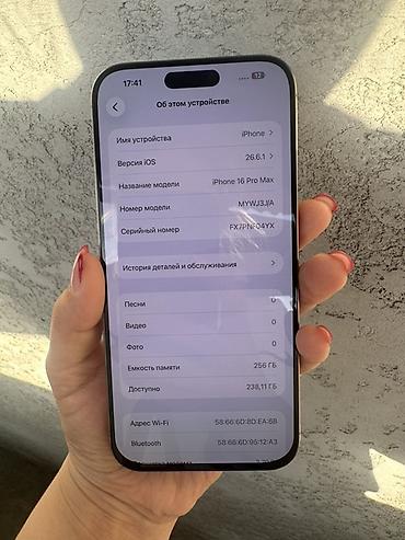 ipad 8th: IPhone 16 Pro Max, 256 ГБ, цвет светлый (похож на Natural — 2
