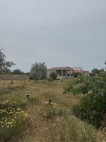 Torpaq sahələrinin satışı: 6 sot, Tikinti, Kupça (Çıxarış) — 4