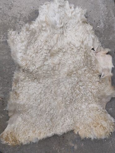 детское овечье одеяло: Овечьи шкуры. 5 штук. 1000 сом каждая