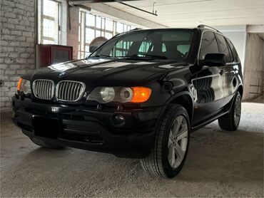 BMW: BMW X5: 2002 г., 4.4 л, Автомат, Бензин, Внедорожник — 3