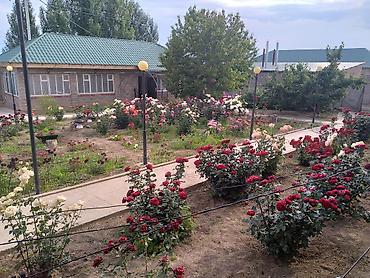 imarat resort: Гостевой дом на Иссык-Куле, АСИБЕ, Голубой Иссык-Куль, Чолпон-Ата, 4 места, На летний сезон — 6