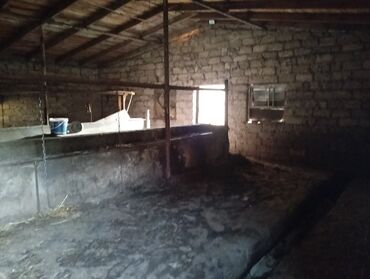 Torpaq sahələrinin satışı: Kənd təsərrüfatı — 4