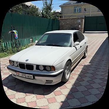 салона красоты: Полировка и химчистка автомобилей на дому - Выездной детейлинг — 3