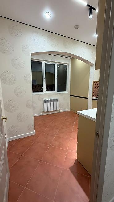 азия пелес квартира: 1 комната, 45 м², Элитка, 7 этаж, Свежий ремонт — 4