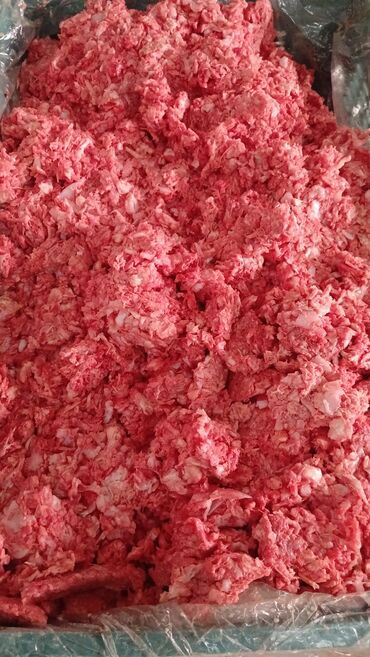 Quş: Itler pisikler ucun nezerde tutulub her gun teze olur sveji sexden — 6