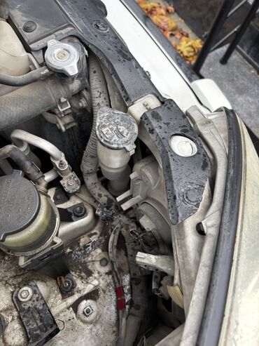 Toyota: Toyota Land Cruiser Prado: 4 l | 2006 il — 9