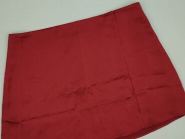 spódnice z piórami: Women`s skirt, size L (EU 40)