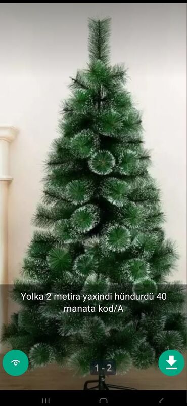 Yeni il ağacları: Yolkalar şaxda baba sekillerde qiymət məlumat qeyd olunub unvan Gence -da lalafo.az — 23 Yeni il ağacları: Yolkalar şaxda baba sekillerde qiymət məlumat qeyd olunub unvan Gence — 23