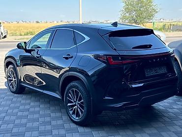alba: Lexus NX: 2023 г., 0.4 л, Автомат, Бензин, Внедорожник — 6