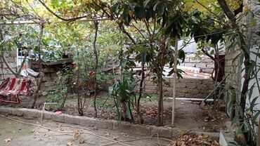 Həyət evləri və villaların satışı: Maştağada heyet evi satılır. 131 nömreli avtobusun axrıncı — 10