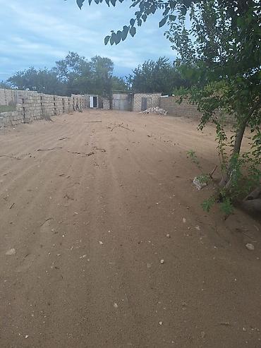 Torpaq sahələrinin satışı: 6 sot, Kupça (Çıxarış) — 10