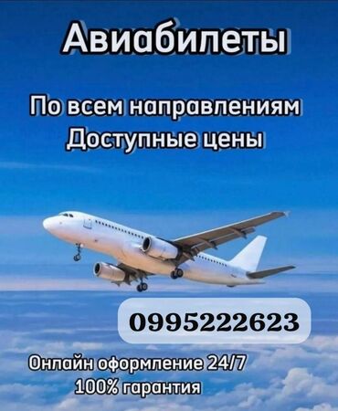 авиабилеты бишкек ош: Авиабилеты по доступным ценам✈️