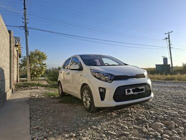 авто в рассрочку без первоначального взноса: Kia Morning: 2019 г., 1 л, Автомат, Бензин, Хетчбек