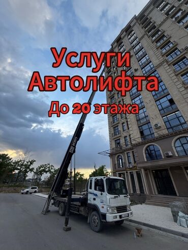 Другие животные: Автолифт, мы поднимем и спустим ваш груз. высота до 20этажей