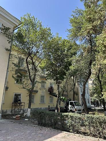 Побелка: Наружная побелка, Побелка потолков, Побелка стен | Известковая побелка, Мелковая побелка Больше 6 лет опыта at lalafo.kg — 32 Побелка: Наружная побелка, Побелка потолков, Побелка стен | Известковая побелка, Мелковая побелка Больше 6 лет опыта — 32