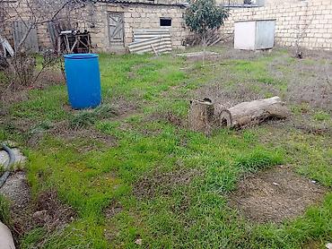 qubada torpaq satilir 2026: 2 sot, Tikinti, Mülkiyyətçi, Kupça (Çıxarış) — 4
