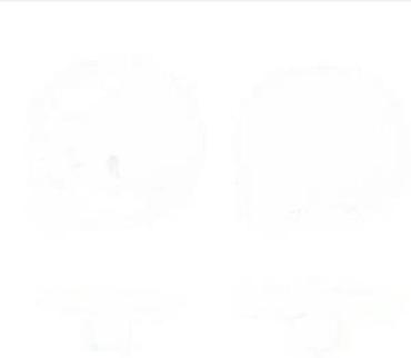 Adapteri i punjači za laptop: Braun punjač/adapter za brijače i trimer-e - Originalni Braun mrežni — 12