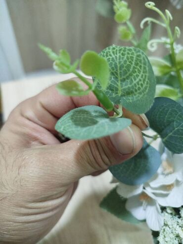 Süni güllər: RAZİNDƏ!!!!!! Gül dəsti vaza ilə bir yerdə. Pionlar və Evkalipt — 4