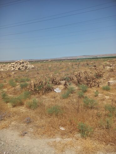 Torpaq sahələrinin satışı: 5 sot, Tikinti, Bələdiyyə — 3