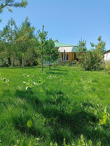 Аренда коттеджей и домов на Иссык-Куле: Коттедж, Париж, Чок-Тал, 8 мест — 4
