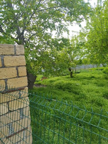 Torpaq sahələrinin satışı: 62 sot, Biznes üçün, Mülkiyyətçi, Kupça (Çıxarış) — 9