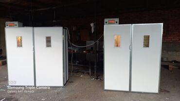 İnkubatorlar: 5000 yumurta, Azərbaycan, Tam avtomat, Bütün növ quşlaq üçün, Zəmanət ilə — 14