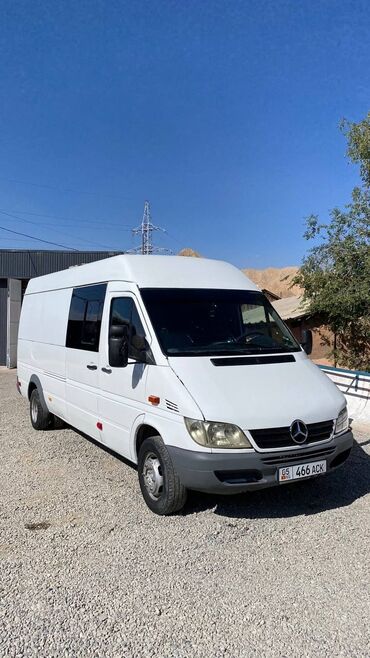 спартивный машины: Mercedes-Benz Sprinter: 2007 г., 3 л, Механика, Дизель, Бус