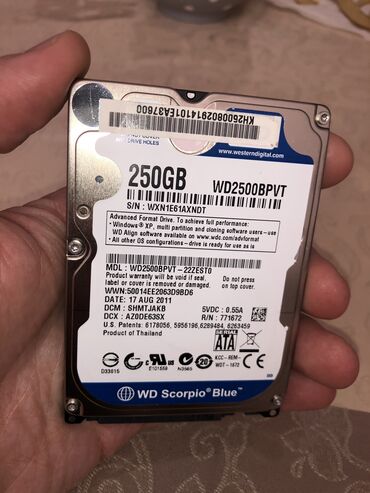 Компьютеры, ноутбуки и планшеты: Жёсткий диск (HDD) Western Digital (WD), 256 ГБ, 2.5"