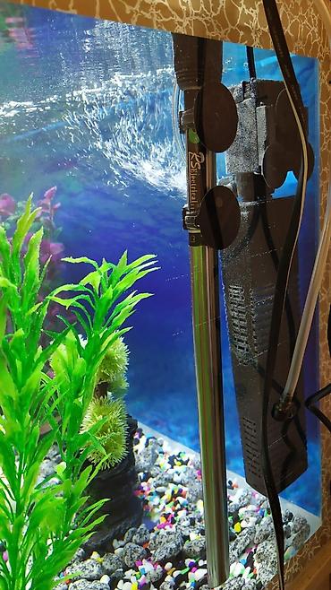 Akvariumlar: Akvaryum dəsti – ŞKAFSIZ Dərinliyi 45sm uzunluq 100sm eni 35sm - — 4
