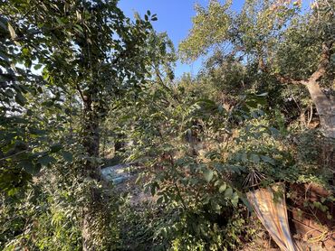 Продажа участков: 6 соток, Для строительства, Красная книга, Тех паспорт, Договор купли-продажи — 6