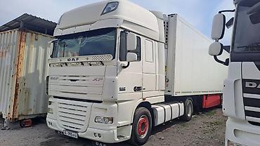 Тягачи: Тягач, DAF, 2008 г., Холодильник, рефрижератор at lalafo.kg — 19 Тягачи: Тягач, DAF, 2008 г., Холодильник, рефрижератор — 19